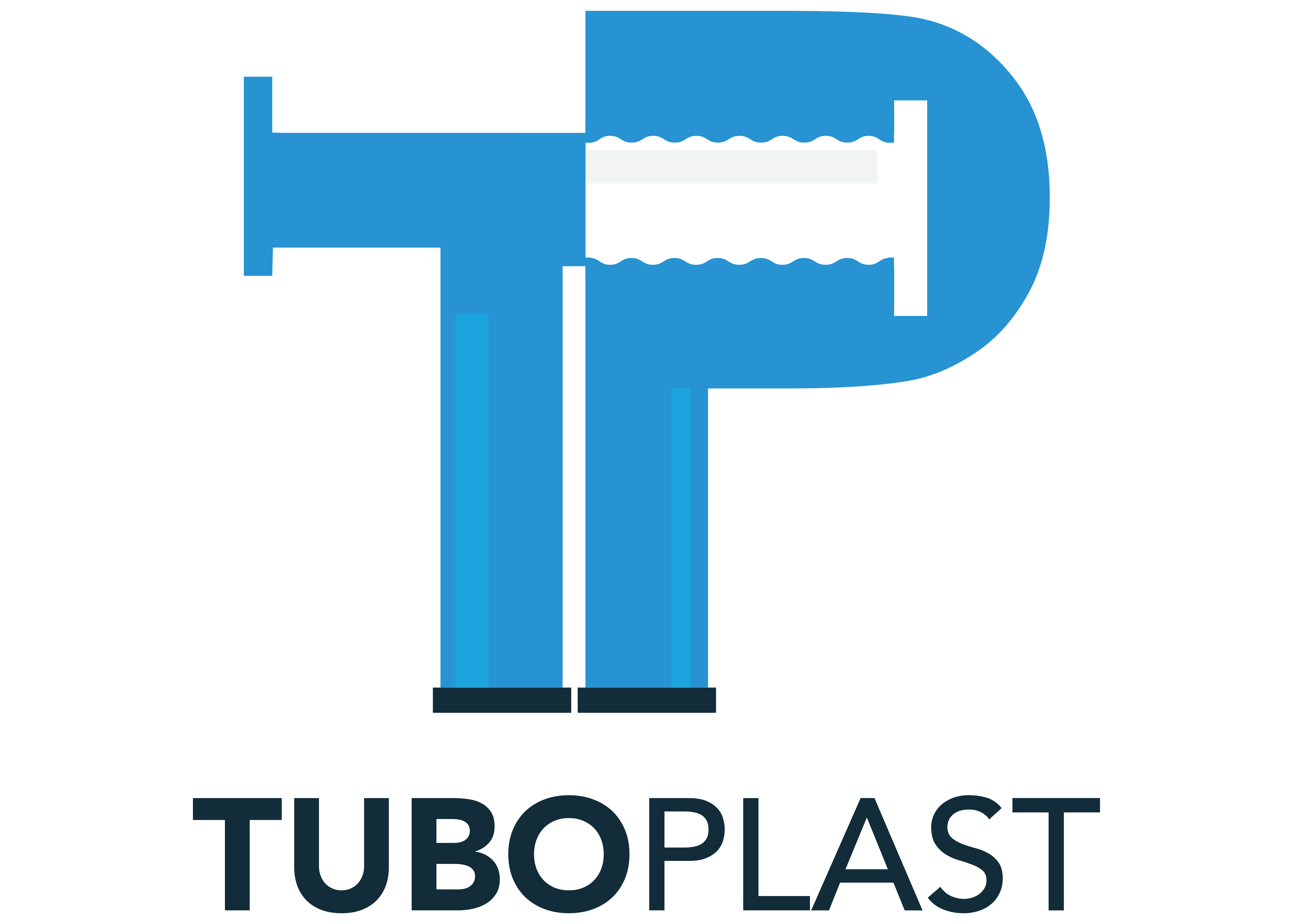 logo site reference IJa-06
