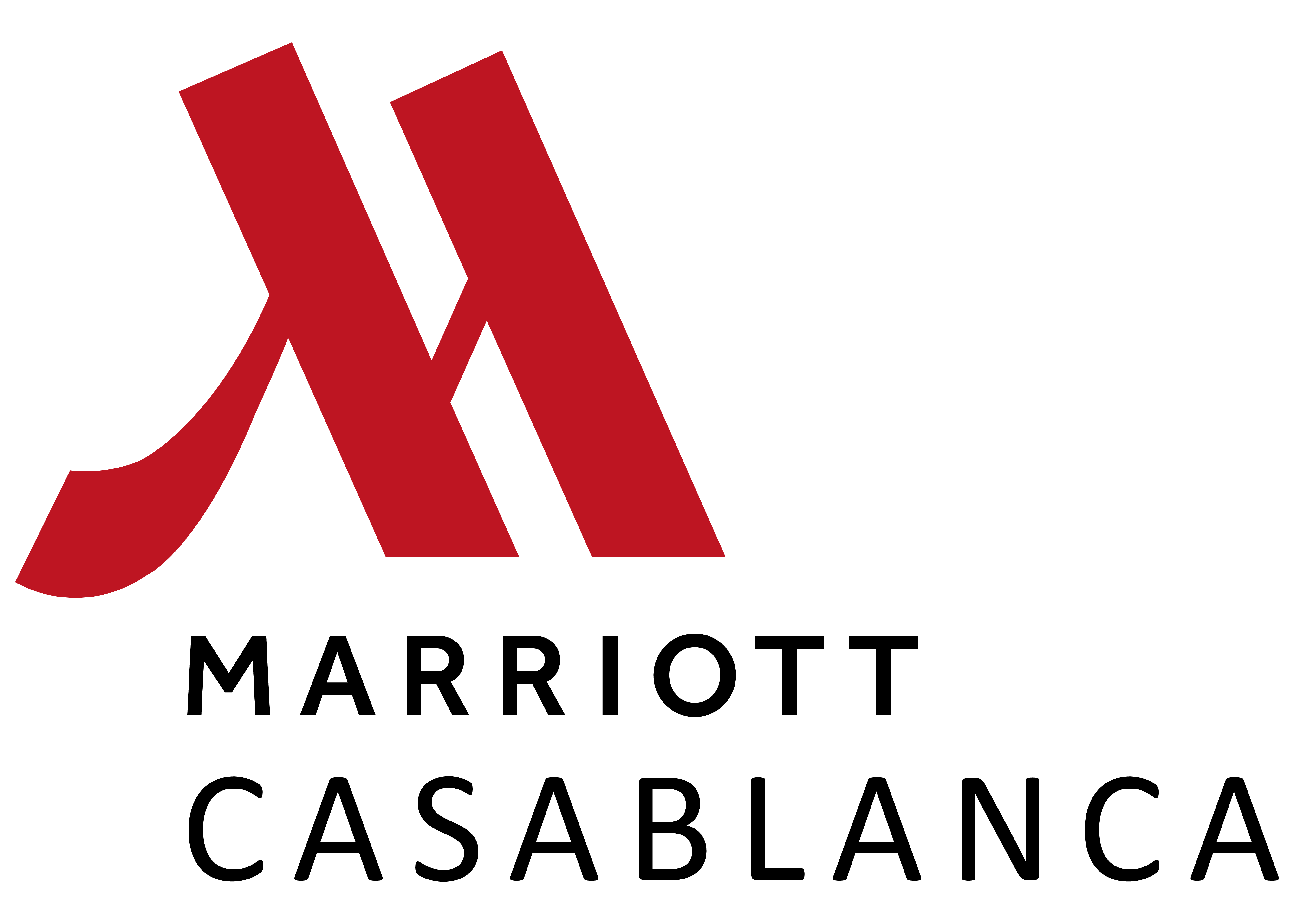 logo site reference IJa-10